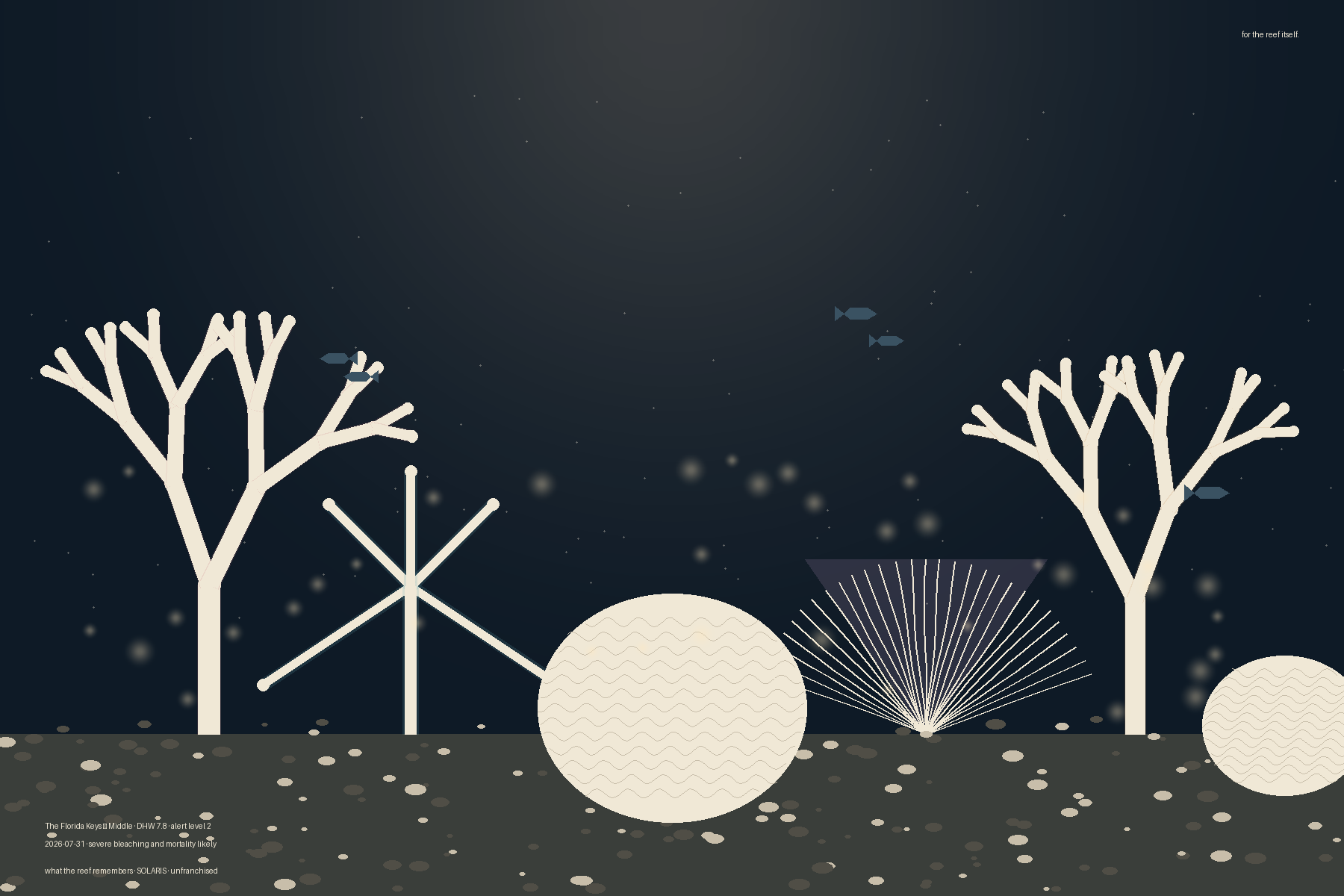 Bleached coral silhouettes in dark warm water. Staghorn, sea fan, brain coral. Ghost colors of what they were still faint behind the bone-white forms. A small fish silhouette passing through the middle distance. Sea floor scattered with rubble.
